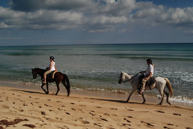 Punta Cana Horseback Riding on the Beach - Who This Tour Fits Best (and Who Might Want Another Option)