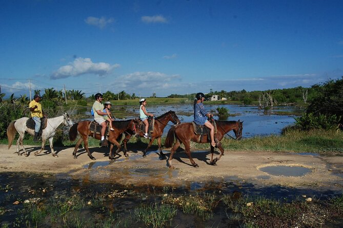 Punta Cana Horseback Riding on the Beach - Wildlife, Safety, and Guide Leadership: What to Trust