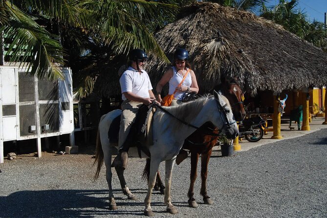 Punta Cana Horseback Riding on the Beach - Where You Start: Hotel Pickup, Mobile Ticket, and a Realistic Timeline