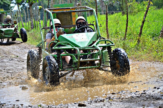 Punta Cana Zip Line, horse riding & Buggy - Key highlights to know before you go