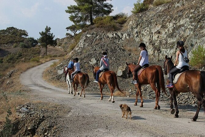 Quad Biking and Horse Riding; Super Combo Tour from Marmaris - The 75-minute quad safari: forest tracks, streams, and the off-road circuit