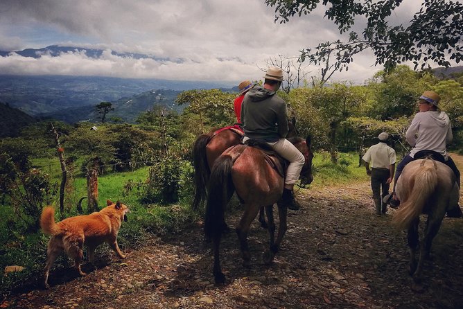 Queveri Horseback Riding Tours - Key Highlights You Should Know Before You Go