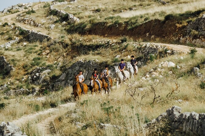 Ranch 22 Podstrana, " Horse riding 12 km from SPLIT " - Where Ranch 22 in Podstrana starts (and why that matters)