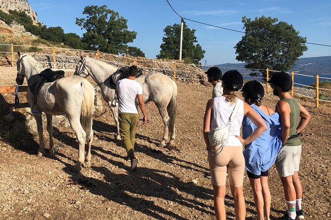 Ranch 22 Podstrana, " Horse riding 12 km from SPLIT " - How the ride runs: tempo, timing, and the walk-only surprise