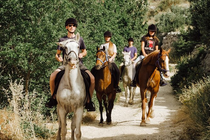 Ranch 22 Podstrana, " Horse riding 12 km from SPLIT " - Horses and first-timer comfort: what you should look for