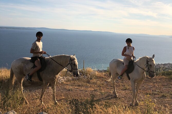Ranch 22 Podstrana, " Horse riding 12 km from SPLIT " - Stables snacks and homemade wine: the part many people remember