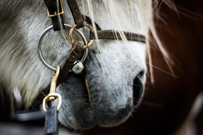 Red Lava Horse Riding Tour From Reykjavik - Getting ready at Solhestar: horse matching and gear you’ll actually use