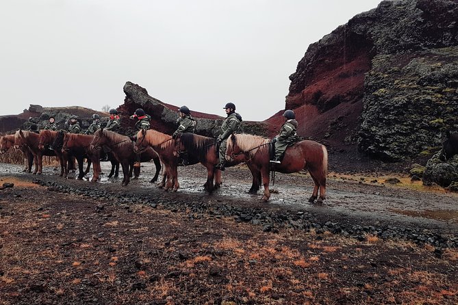 Red Lava Horse Riding Tour From Reykjavik - Price and value: what $139.13 really buys you
