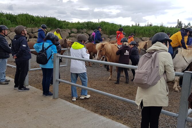 Red Lava Horse Riding Tour From Reykjavik - Heiðmörk Nature Reserve: lava hills plus real volcano context