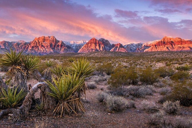 Red Rock Canyon Sunset Horseback Ride and Barbeque Dinner - A Quick Escape From the Las Vegas Strip