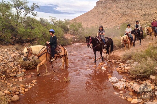 Red Rock Canyon Sunset Horseback Ride and Barbeque Dinner - Should You Book the Red Rock Canyon Sunset Ride and BBQ?