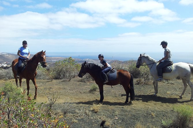 Relaxing Horse Riding Tour in Gran Canaria - Quick hits to know before you go