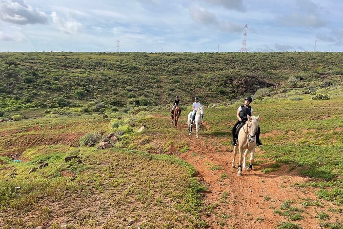 Relaxing Horse Riding Tour in Gran Canaria - A 90-minute reset in Gran Canaria’s quieter side