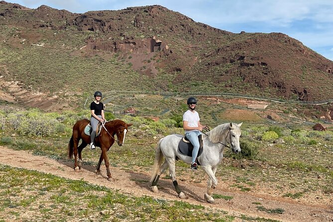 Relaxing Horse Riding Tour in Gran Canaria - What you’ll actually do on the horse