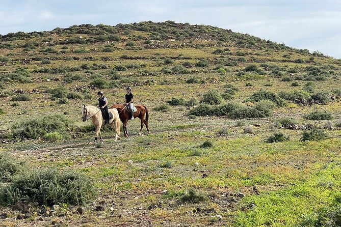 Relaxing Horse Riding Tour in Gran Canaria - Logistics that matter: where to meet and how long to plan
