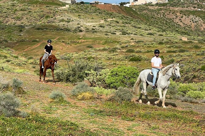 Relaxing Horse Riding Tour in Gran Canaria - Weather and timing: the one rule you can’t dodge