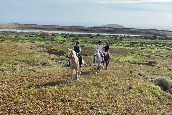 Relaxing Horse Riding Tour in Gran Canaria - Learning how to mount and ride without stress