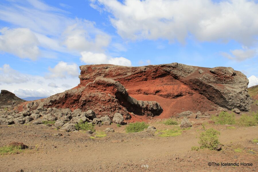Reykjavík: Horse Riding Tours - Key things I’d circle on your shortlist