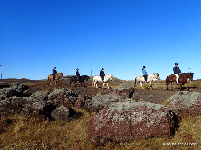 Reykjavík: Horse Riding Tours - Reykjavik horseback riding with a real Iceland focus