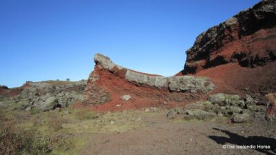 Reykjavík: Horse Riding Tours - From Reykjavik to the stables: quick and straightforward