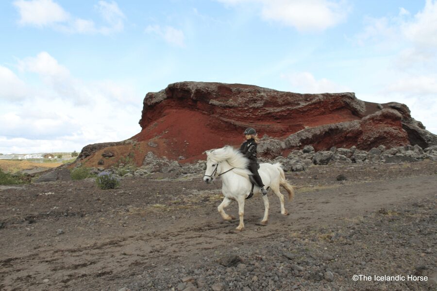 Reykjavík: Horse Riding Tours - Price and value: is $200 worth it?