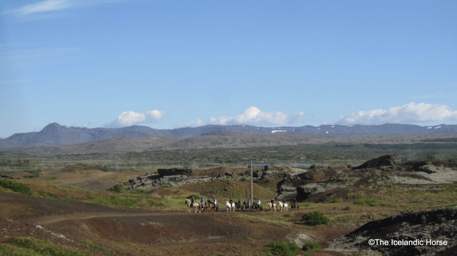 Reykjavík: Horse Riding Tours - Who this tour suits best (and who might hesitate)