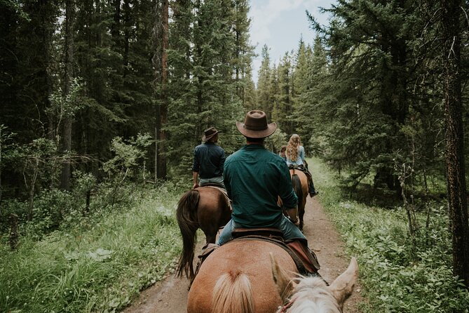 Ridge Ride 2-Hour Horseback Trail Ride in Kananaskis - Who should book this horseback trail ride (and who should think twice)
