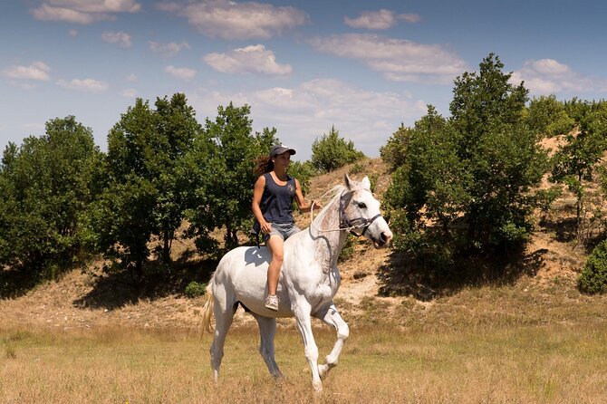 Rila National Park Horse Riding Adventure - Group Size and What It Means for Your Ride