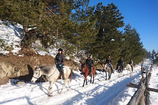 Rila National Park Horse Riding Adventure - After the Ride: Restaurant Time at the Start Point