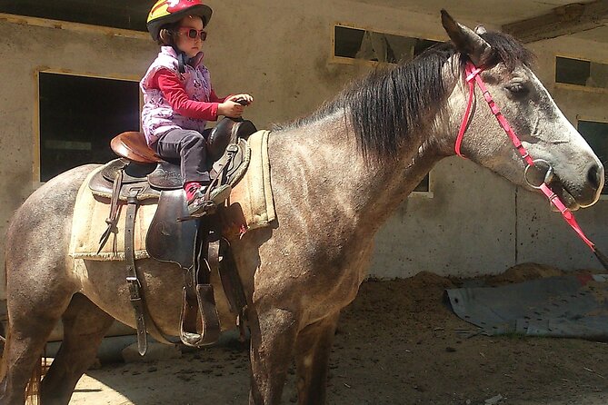 Rila National Park Horse Riding Adventure - Price and Value: How $47.89 Fits the Day