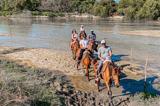 River Trail Horseback Riding Adventure - What You’ll Learn Along the Way: Horses, Nature, and Cowboy-Style Riding