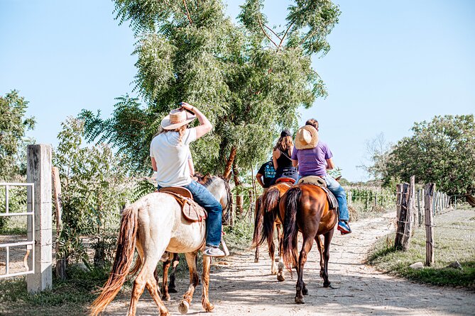 River Trail Horseback Riding Adventure - Price and Value: What You’re Really Paying For (Without Guessing Numbers)