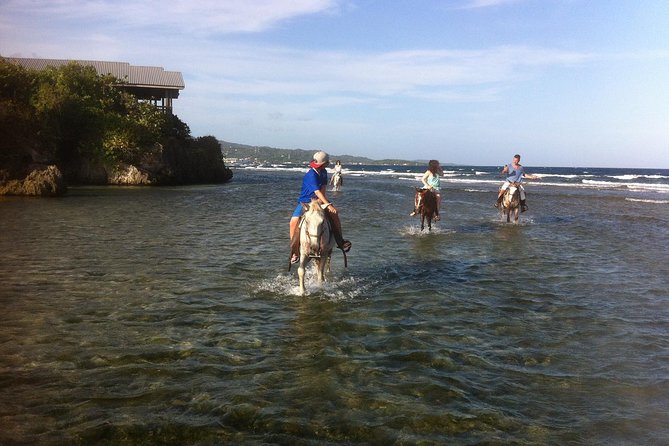 Roatan Excursion: Horseback Ride / Plus Sloth Park and Beach Break - Roatan in 5 Hours: How This Private Combo Fits a Cruise Day