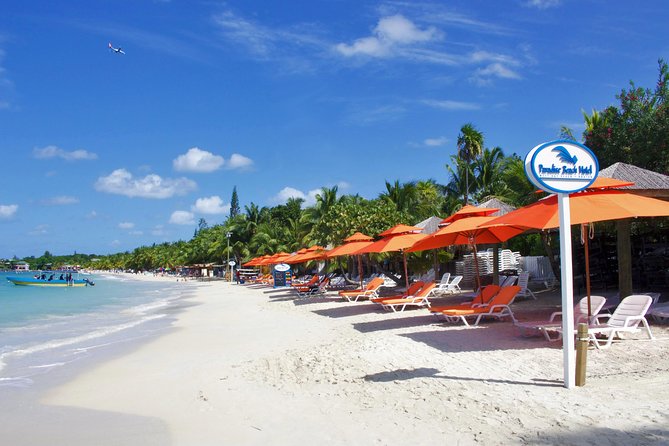 Roatan Excursion: Horseback Ride / Plus Sloth Park and Beach Break - Horseback Riding for Beginners: Fun, but Manage Expectations