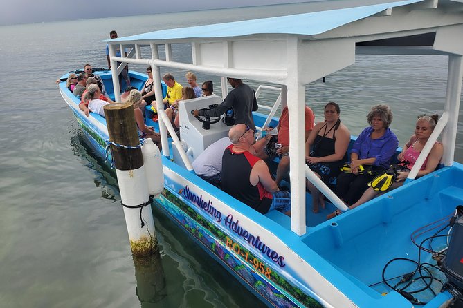 Roatan Excursion: Horseback Ride / Sloths park / Snorkel With Beach Break - One Ticket for Roatan: How This Half-Day Actually Feels