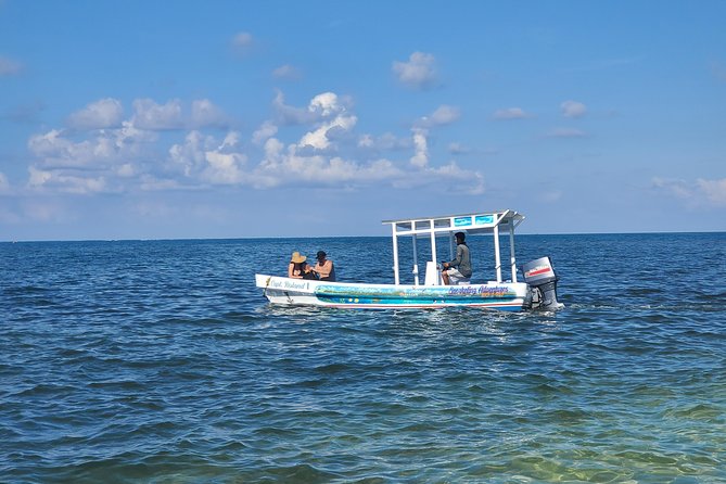 Roatan Excursion: Horseback Ride / Sloths park / Snorkel With Beach Break - Hotel Pickup and Getting Around in Roatan Time