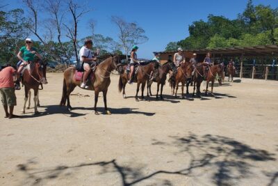 Roatan Excursion: Horseback Ride / Sloths park / Snorkel With Beach Break - Stop 1: Jungle Sanctuary With Sloths, Monkeys, and Birds