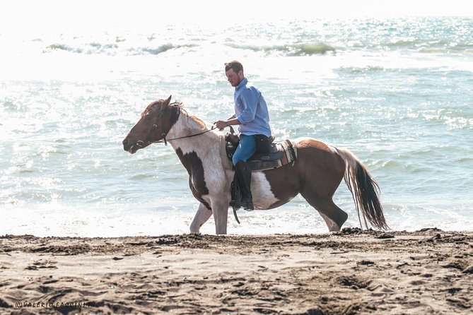 Rome: Horseback Riding on the Beach with aperitif - Cavalieri di Gaia Meeting: Catching, Grooming, and English Saddles