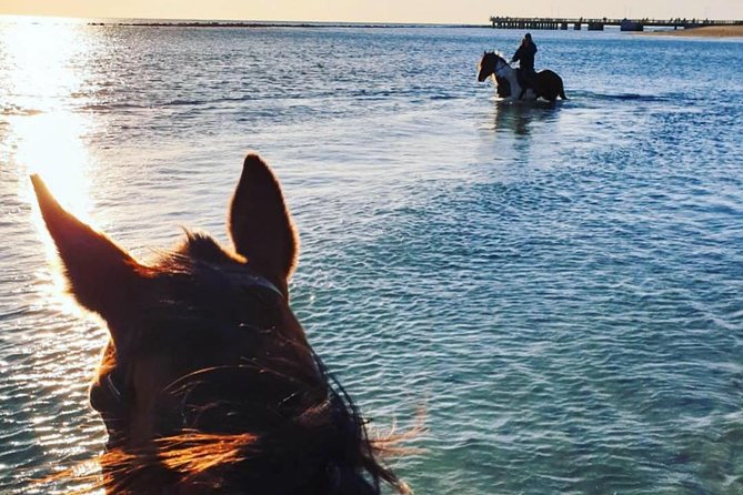 Rome: Horseback Riding on the Beach with aperitif - Beach Riding on the Coast: Sun, Salt, and a More Adventurous Feel