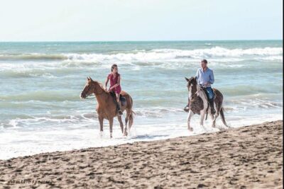 Rome: Horseback Riding on the Beach with aperitif - Natural Reserve Pinewood Trails and Ancient Roman Traces