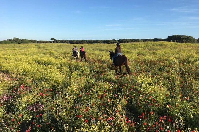 Rome: Horseback Riding on the Beach with aperitif - Transfers, Private Format, and Getting to the Start Point