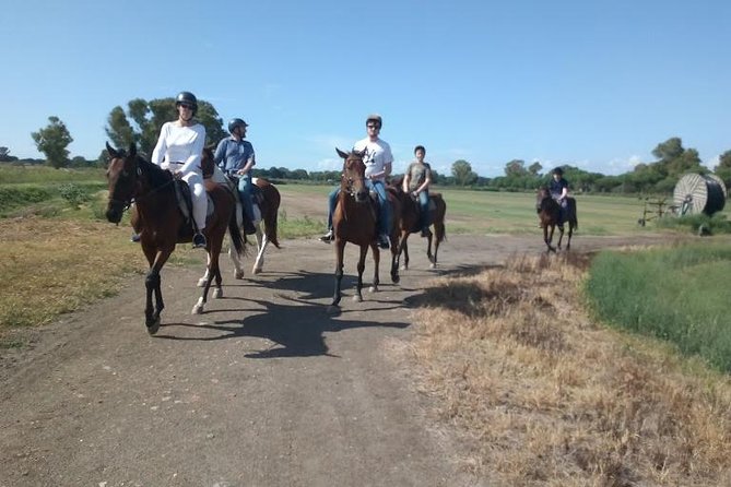 Rome : Horseback Riding with meals and wine included - Why Ride Out to Cavalieri di Gaia Instead of Staying in the City