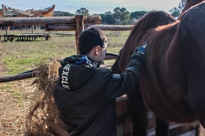Rome : Horseback Riding with meals and wine included - Ranch Time at Cavalieri di Gaia: Brushes, Feed, and Friendly Animals