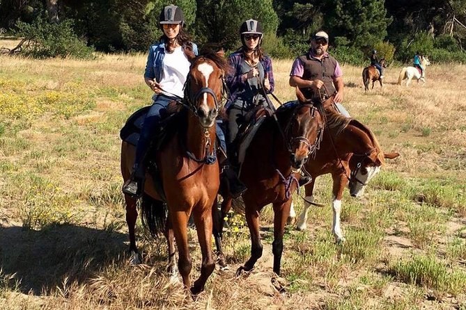 Rome : Horseback Riding with meals and wine included - The Horse Ride Itself: Nature Reserve Views and Ancient Port Energy
