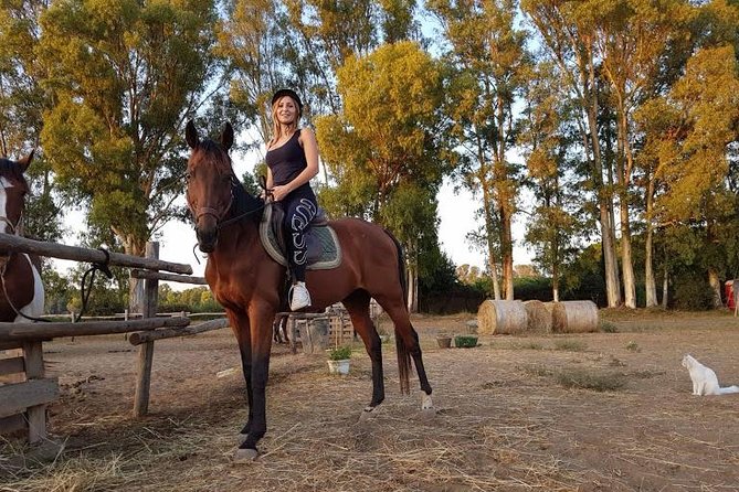 Rome : Horseback Riding with meals and wine included - Private Guide Perks: What You Gain When It’s Just Your Group