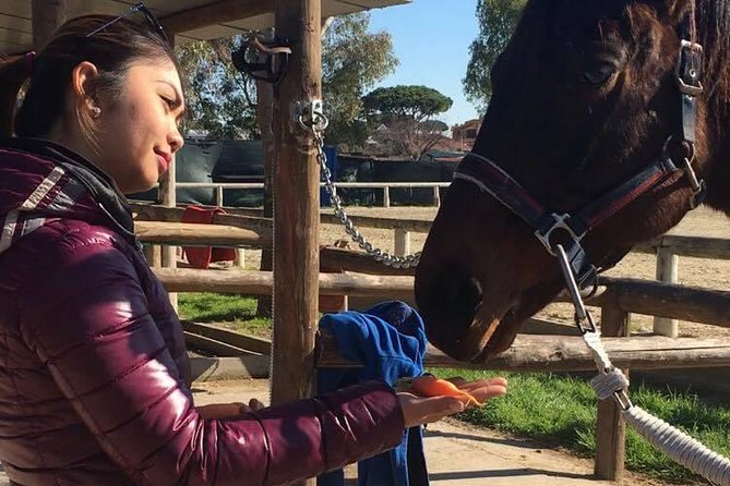 Rome : Horseback Riding with meals and wine included - Getting There: Viale dei Romagnoli and the Real-Life Timing