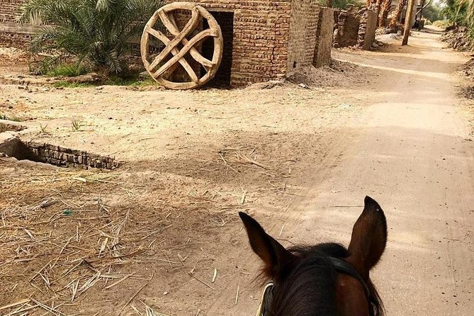 Rural Horse Riding Adventure - Key Highlights You’ll Actually Care About