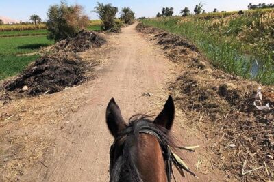 Rural Horse Riding Adventure - Before You Ride: Hats, Safety, and Confidence on the Saddle
