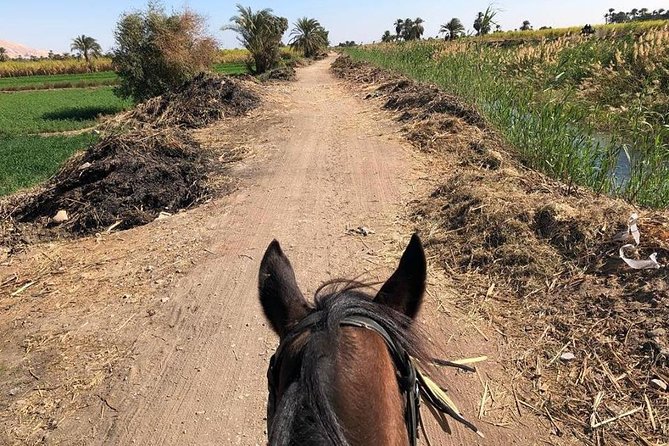Rural Horse Riding Adventure - Before You Ride: Hats, Safety, and Confidence on the Saddle