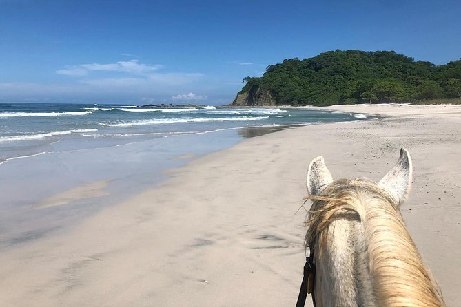 Safari & Barigona Beach on horseback - Key highlights to know before you go
